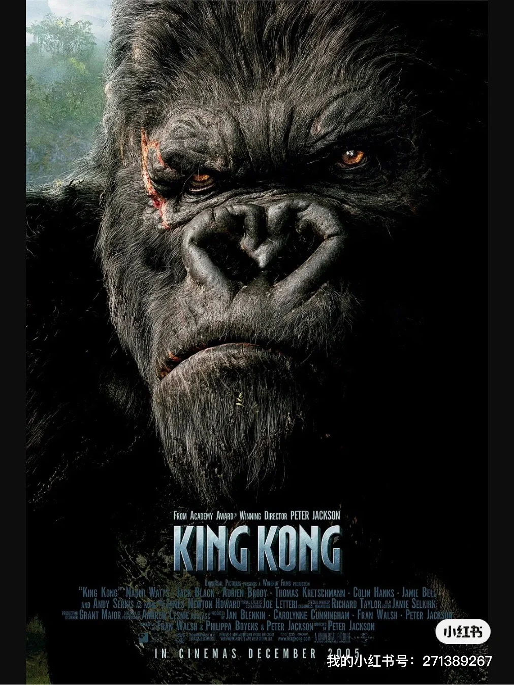 电影解说精彩片段